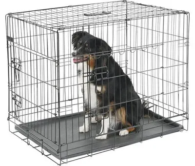 Produktbild von Transportbox KERBL klappbar 63x48x57 cm