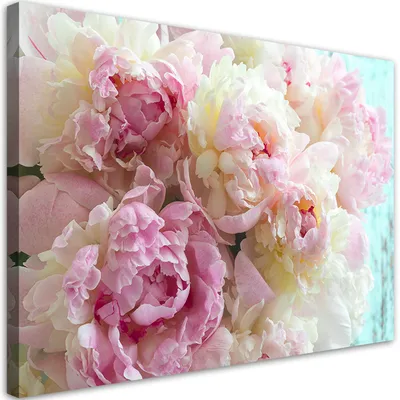 Produktbild von Leinwandbild Rosa Pfingstrosenblüten 60x40 Feeby Rosa bild für die wand bereit zum aufhängen