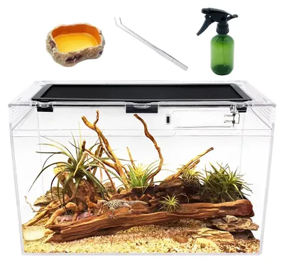 Productafbeelding van Reptielen tank, 16" x 8" x 10" vivarium met bovenste schuifdeur