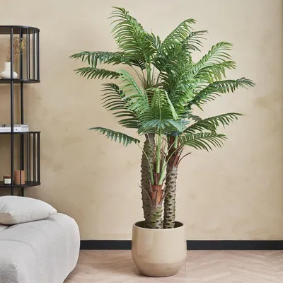 Obrázok produktu pre Umelá palma – 180 cm – zelená