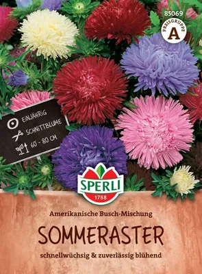 Produktbild von SPERLI Asternsamen Amerikanische Busch-Mischung Callistephus chinensis 100 Pflanzen