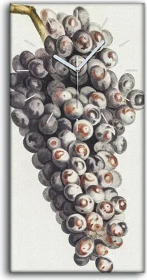 Produktbild von Wanduhr Uhr Wandbild Leinwand Geräuschlos 30x60 Gemälde Obst Trauben Kunst - weiße Hände