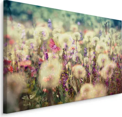 Produktbild von Fabelhafte Canvas LEINWAND BILDER 40x30 cm XXL Kunstdruck Natur Pusteblumen Lavendel