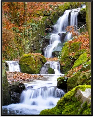 Produktbild von Wallario Wandbild Bach im Wald, Größe: 40,30 x 50,30 cm, Poster mit schwarzem Aluminiumrahmen