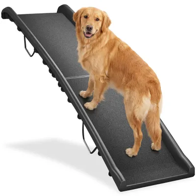 Produktbild von tectake® Hunderampe Paw Step klappbar und rutschfest 155 x 40 x 14 cm