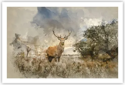 Produktbild von Poster - Poster ohne Rahmen - rotwild natur - 91,5x61 cm - Wand Bild - Wanddeko - Wandbilder - Kunstposter - Wandposter - Bilder - Kunstdruck - Wanddekoration - Wandbild - P2XAA91x61-3465