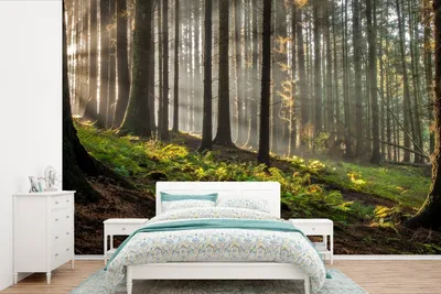Produktbild von MuchoWow® Fototapete für Wohnzimmer oder Schlafzimmer Wandtapete Vinyl Motivtapete Sonne - Äste - Bäume - Wald - Natur - 450x300 cm - Gemusterte