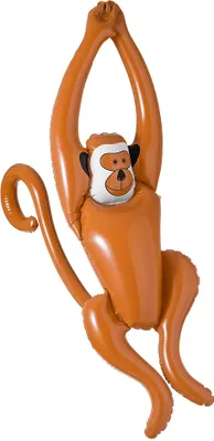 Image de Singe gonflable