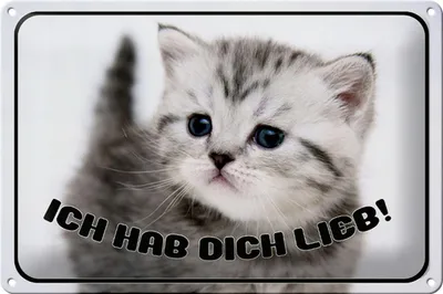 Produktbild von Blechschild Katze 30x20cm ich hab dich lieb Geschenk