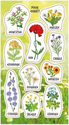 Produktbild von *RANOK 88959 Wildblumen-Aufkleber