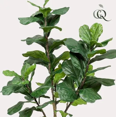 Produktbild von Ficus Lyrata Kunstplant 180 cm