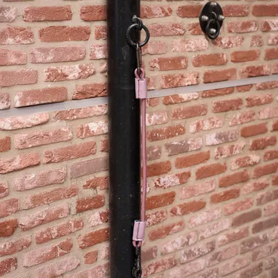 Produktbild von Traileranbinder Elastisch 60 cm 3609 mauve