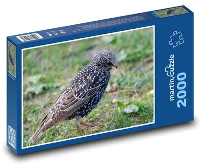 Obrázok produktu pre Puzzle 2000 Škorec na zelenej lúke - martinpuzzle