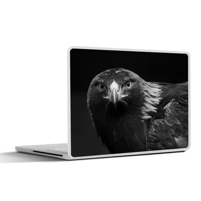 Produktbild von MuchoWow® Laptop Aufkleber Sticker Cover Bussard - Vogel - Tiere - Schwarz - Weiß 31x22.5 cm - Laptop-Deko