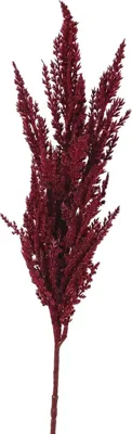 Produktbild von artplants.de Kunstzweig Pampasgras Rispe THEMBA, Burgunderrot, 80cm - Künstliches Pampasgras
