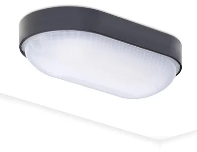 LED-Kellerlampe Base Oval schwarz, 9W, 800lm, 4000K, IP65