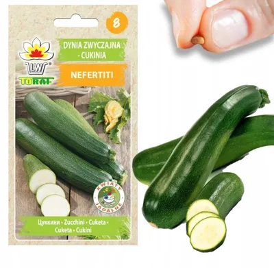 Obrázok produktu pre Semienka cukety Cuketa Nefertiti Zeleninová zelenina Delicious 3G Cuketa