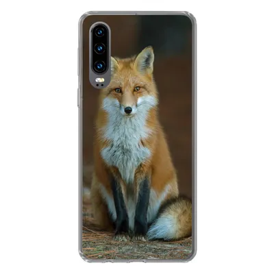 Produktbild von MuchoWow® Handyhülle Schutzhülle Hülle für Huawei P30 Fuchs - Makro - Rot Silikon Softcase Handy Hülle - Kartenbesitzer