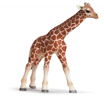 Image de Schleich 14321 - Bébé girafe