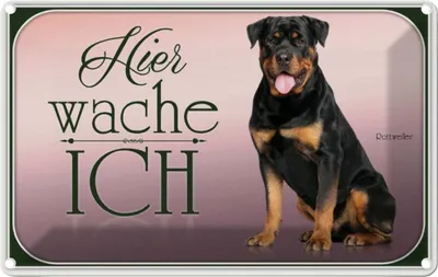 Produktbild von vianmo Blechschild 12x18 cm Hund Rottweiler hier wache ich Tier Haustier