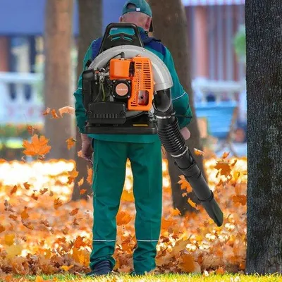 Immagine prodotto di Soffiatore per foglie: attrezzo da giardino per giardini e terreni