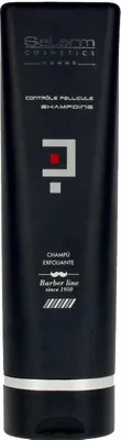 Produktbild von Salerm Cosmetics Homme Controle Exfoliant Antischuppenshampoo 250ml