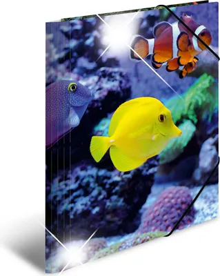Zdjęcie produktu dla HERMA Sammelmappe A4 Glossy Fisch Polypropylen