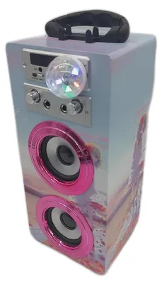 Produktbild von DYNASONIC Karaoke 2 Mikrofonen tragbarer Karaoke Maschine Bluetooth Lautsprecher