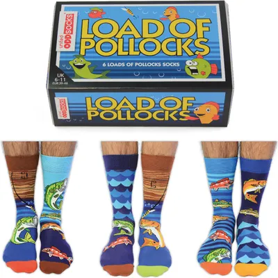 Produktbild von Angler Oddsocks Socken in 39-46 im 6er Set