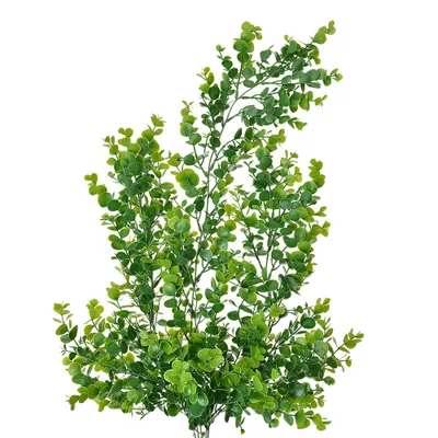Immagine prodotto di Pianta artificiale Clayre & Eef 80 cm plastica verde