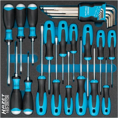 A set of screwdrivers and hex keys neatly arranged in a black foam insert.