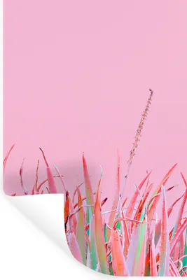 Produktbild von MuchoWow® Wandtattoo Wandsticker Wandaufkleber Sommer - Pflanzen - Pastell 40x60 cm Selbstklebend und Repositionierbar - Wierderverwendbar - Selbstklebend