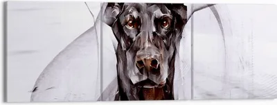 Produktbild von Bild auf Leinwand - Leinwandbild - Hund Abstraktion - 150x50cm - Wand Bild - Wanddeko - Wandbilder - Leinwanddruck - Bilder - Kunstdruck - Wanddekoration - Leinwand bilder - Wandkunst - CA150x50-3999
