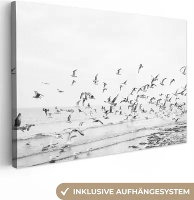 Produktbild von OneMillionCanvasses® - Leinwandbilder - 150x100 cm, Meer - Vögel - Natur - Möwen, Wandbilder Kunstdruck Wanddekoration - Foto auf Leinwand - Gemälde auf Holzrahmen