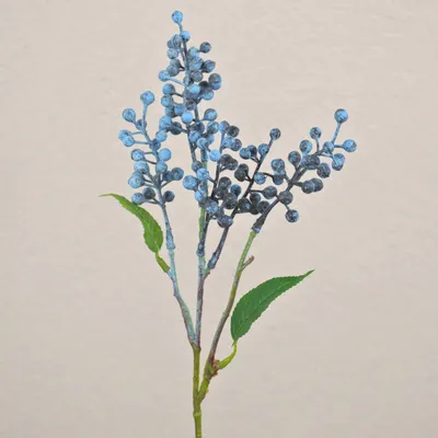 Produktbild von artplants.de Kunstzweig Holunderbeeren TEITH mit Früchten, schwarz, 40cm - Künstlicher Beerenzweig