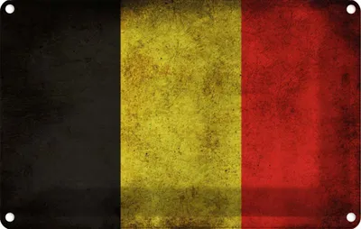 Produktbild von vianmo Blechschild 20x30 cm Belgien Fahne Flagge Wappen