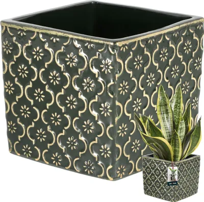 A square ceramic planter with a decorative pattern and a snake plant inside.