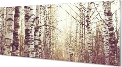 Produktbild von Glasbilder 125x50 Wandkunst Bäume