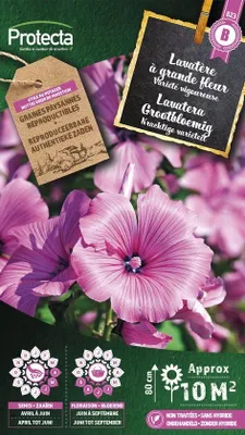 Productafbeelding van Protecta Bloemen zaden: Lavatera Grootbloemig