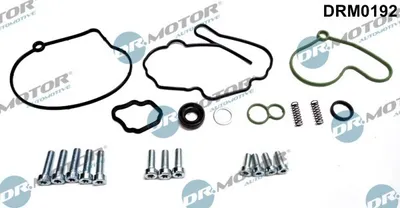 Produktbild von DR.MOTOR AUTOMOTIVE Reparatursatz, Unterdruckpumpe (Bremsanlage) (DRM0192)