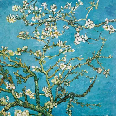 Produktbild von Vincent Van Gogh Kunstdruck Bild - Blühende Mandelbaumzweige, 1890 (40 x 40 cm)