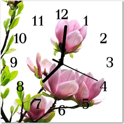 Produktbild von Glasuhr Wanduhr Küchenuhr Echt-Glas 30x30 cm Magnolie Blüte rosa