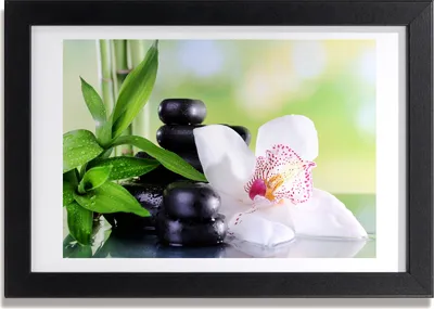 Produktbild von Bild 30x20 MDF-Rahmen, Wandkunst Orchidee
