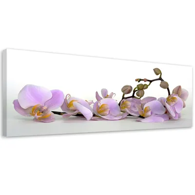 Produktbild von Leinwandbild Blühende Orchideenblüte 120x40 Feeby Weiß bild für die wand bereit zum aufhängen