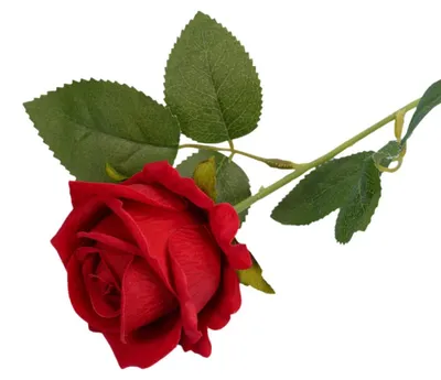 5 Kunstrosen, 51 cm, rot, realistische Seidenblumen für Deko
