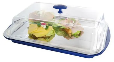 Produktbild von APS 9090 Thermo-Tablett-Set,  Germany, 43 x 29 cm, Höhe 14 cm, inkl. 2 Kühlakkus, blau