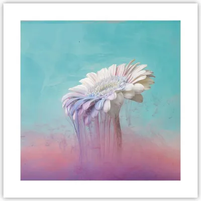 Produktbild von Poster - Poster ohne Rahmen - Modern Grafik Blume - 40x40 cm - Wand Bild - Wanddeko - Wandbilder - Kunstposter - Wandposter - Bilder - Kunstdruck - Wanddekoration - Wandbild - P2XAC40x40-4534