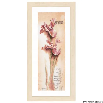 Produktbild von Lanarte Kreuzstichset "Iris Botanisch", Zählmuster