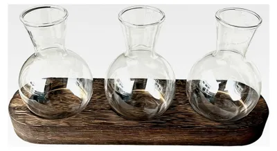 Produktbild von Pflanzenanzuchtgläser, dekorative Glaswurzelbehälter mit Holzrahmen, Hydrokultur-Pflanzgefäß für Schreibtisch, Bücherregal, Wohnheim, Wohnung