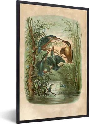 Produktbild von MuchoWow® MuchoWow® Gerahmtes Poster Antiker Vogeldruck Eisvogel 30x40 cm - Poster mit zchwarzem Bilderrahmen - Wanddeko - Kunstdrucke
